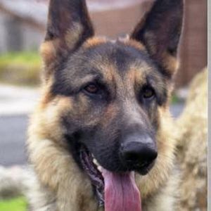 Meet your Posher, Christina